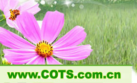 ӭĴʡйվ www.COTS.com.cn